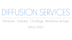 DIFFUSION SERVICES à Vaulx-en-Velin