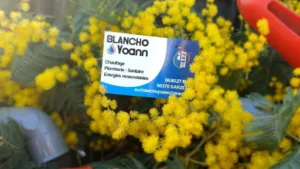 Blancho Yoann à Sarzeau