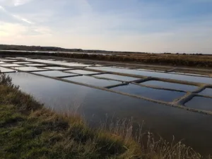 VD ENERGIE CLIM à L'Île-d'Olonne