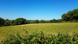 Plomberie Chauffage Electricité à Crécy-au-Mont