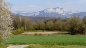 Yannis ROGNIN – Eurl Bruno BALME à Saint-Marcellin