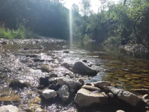 Toulourenc Services à Reilhanette