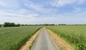 Torchet Roger à Saint-Cosme-en-Vairais