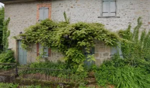 Leroy Jean-Claude à Jabreilles-les-Bordes