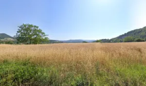 Joo Erick à Piégros-la-Clastre