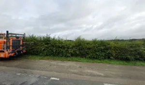 Dsle Bois De Chauffage (Sarl) à Daubeuf-Serville